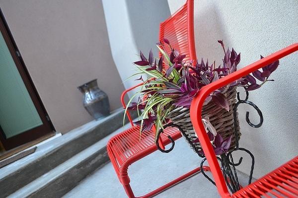 La Salvia E Il Lampone Bed and Breakfast Pove del Grappa Εξωτερικό φωτογραφία