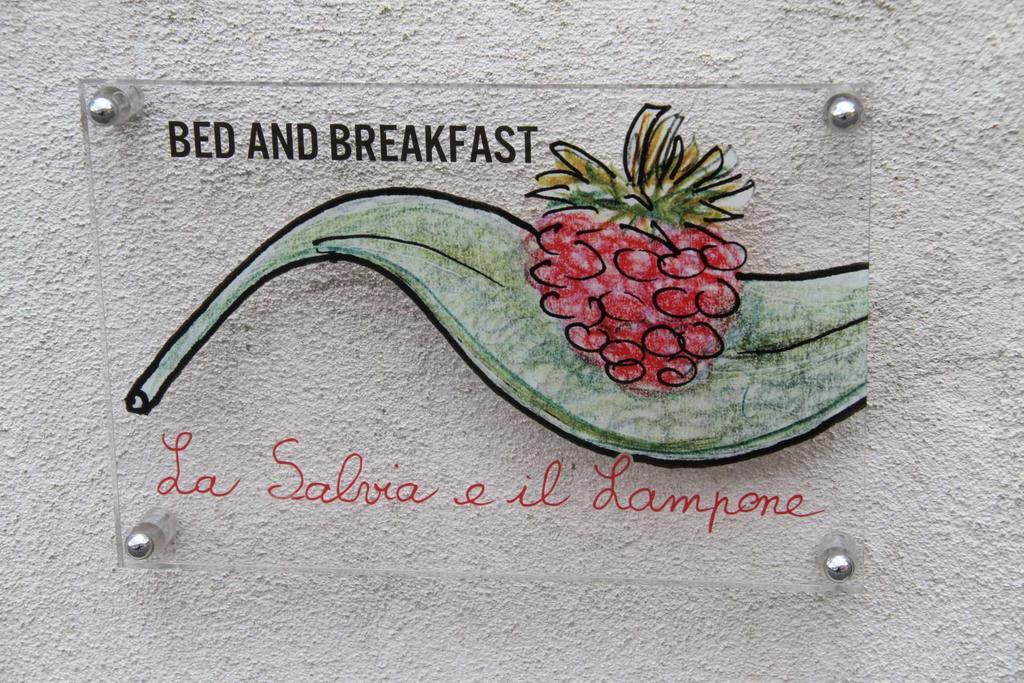 La Salvia E Il Lampone Bed and Breakfast Pove del Grappa Εξωτερικό φωτογραφία